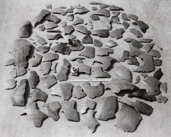 Peter Voigt - New Evidence 1b, archival art photograph from the New Evidence series