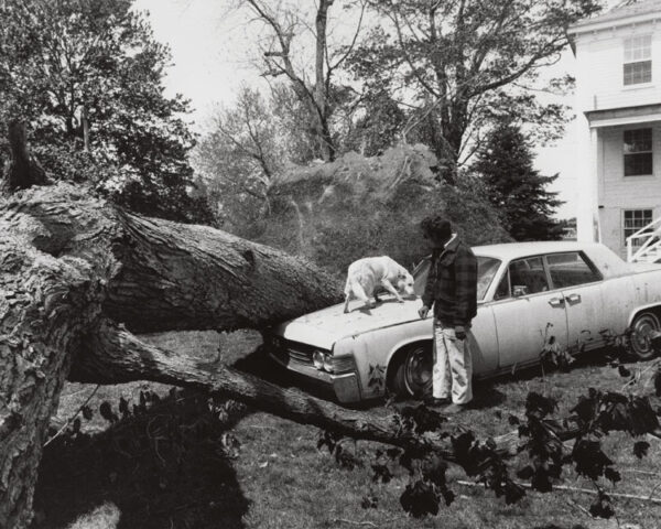 Peter Voigt - New Evidence 5a, archival art photograph from the New Evidence series