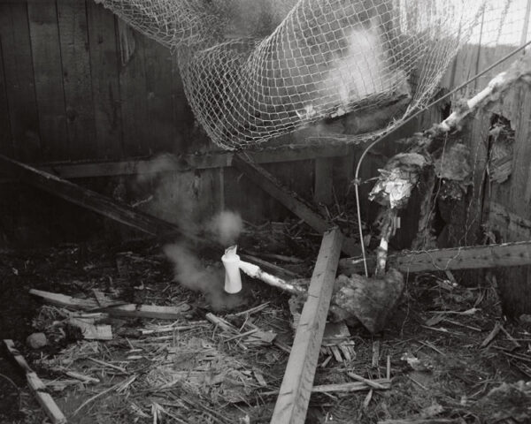 Peter Voigt - New Evidence 5b, archival art photograph from the New Evidence series