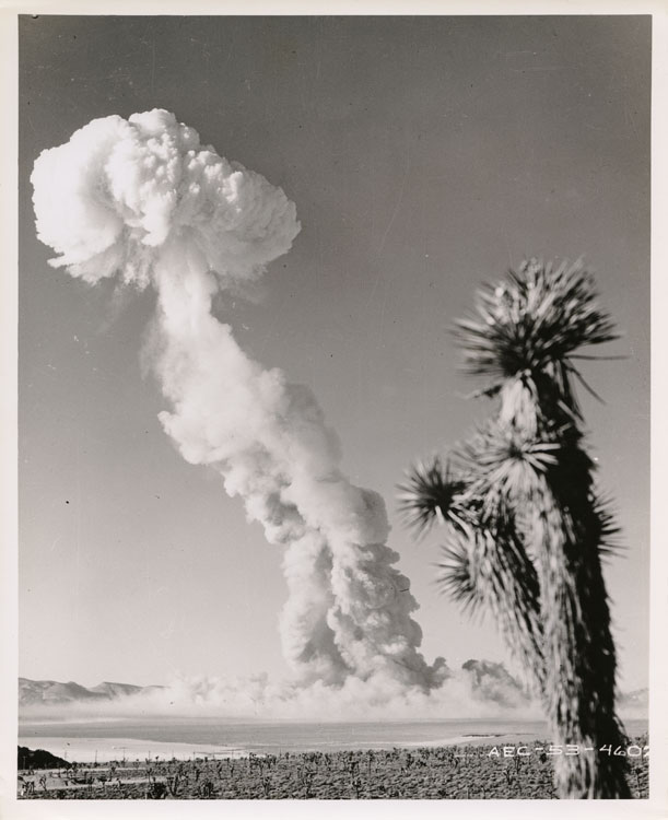 Shot Dog, Operation Tumbler-Snapper — 1 May 1952 airdrop at the Nevada Test Site. A 19-kilotonne fusion-boosting test, watched by Desert Rock troops.
